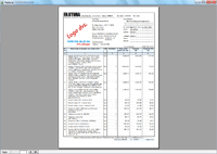 Program facturare - print factura business pagina 1/3
