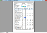 Program facturare - print factura clasic pagina 1/3