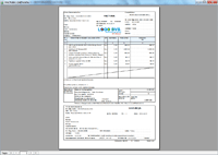 Program facturare - print factura cu chitanta la subsol pentru neplatitorii de TVA