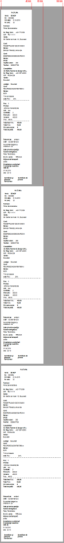 Reprezentare factura format vertical pentru imprimante termice