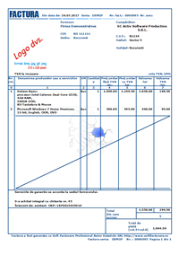 Reprezentare print factura business personalizat cu niciun cmp opional vizibil