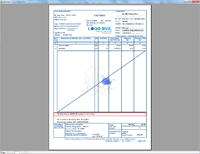 Soft Facturare Profesional - exemplu factura penaliti (click pentru mrire)