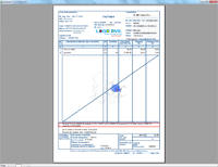 Soft Facturare Profesional - exemplu factura penaliti (click pentru mrire)