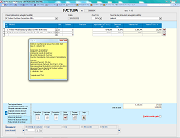 Program facturare - ecran pentru introducere facturi cu info produs