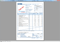 Program facturare - print factura business albastra