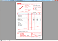 Program facturare - print factura business rosie