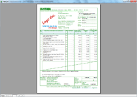 Program facturare - print factura business verde