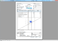 Program facturare - print factura clasic pentru neplatitorii de TVA