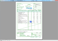 Program facturare - print factura clasic verde