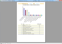 Program facturare - raport managerial Top 10 produse