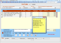 Program facturare - ecran pentru introducerea facturilor