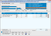 Program facturare - ecran pentru introducerea proformelor