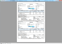 Program facturare - print factura in format 2/A4