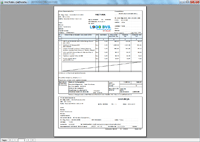 Program facturare - print factura cu chitanta la subsol