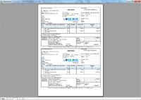 Program facturare - print factura in format 2/A4 pentru neplatitorii de TVA