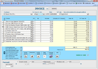 Program facturare - ecran pentru introducerea facturilor in engleza