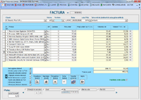 Program facturare - ecran pentru introducerea facturilor in romana