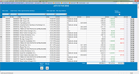 Program facturare Profesional - Ecran Situatie2 fara TVA