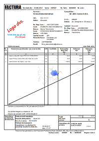 Program facturare Profesional - Print factura cu TVA