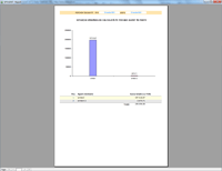 Program facturare - raport managerial Situatia vanzarilor pe agent