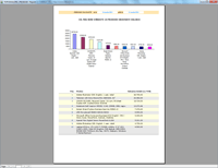 Program facturare - raport managerial Top 10 produse (Valoric)